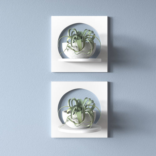 Agran 2 Piece Wall Shelf Set