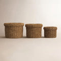 Birch Lane™ Charton Seagrass Box