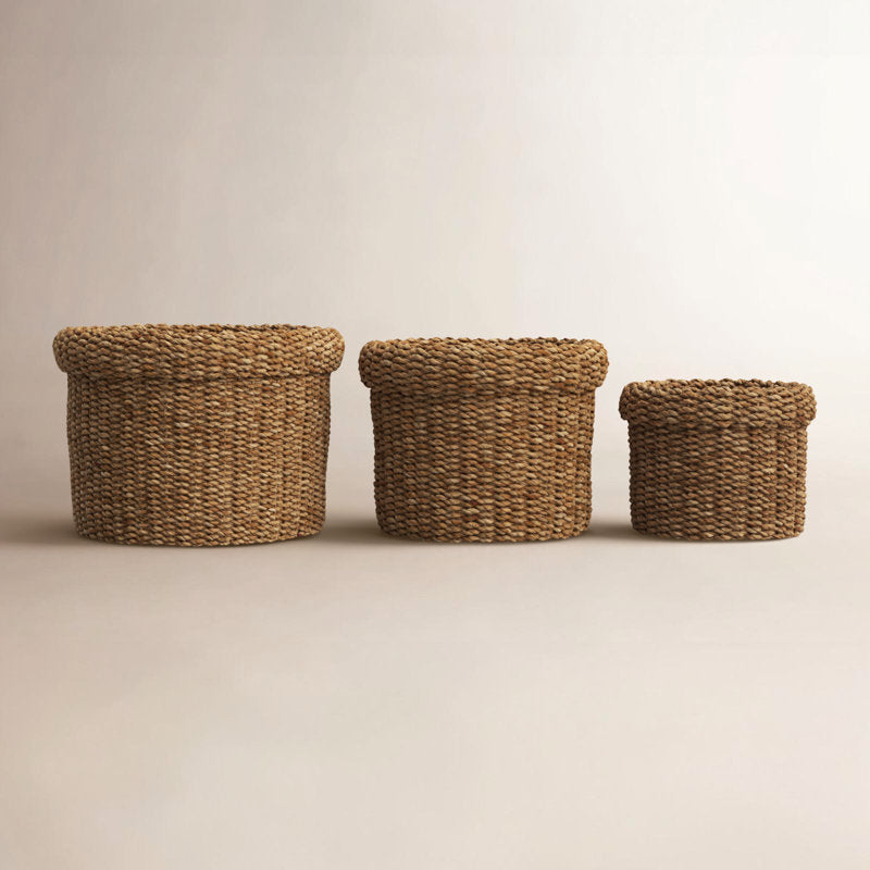 Birch Lane™ Charton Seagrass Box