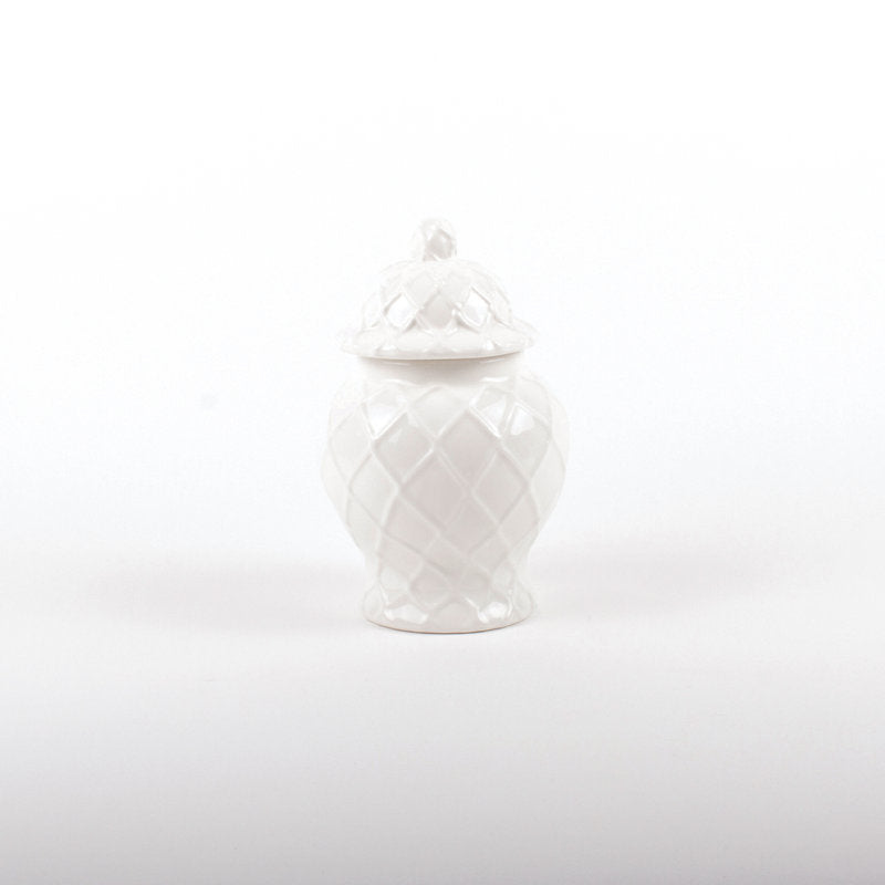 Ceramic / Porcelain Jar Canister - Set of 1