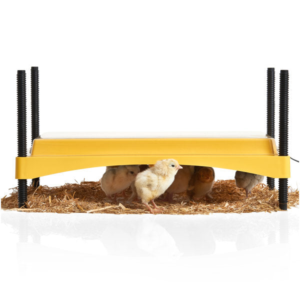 EcoGlow Heating / Lighting For Up To
