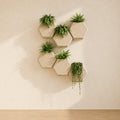 Inett Polyethylene Wall Planter Set